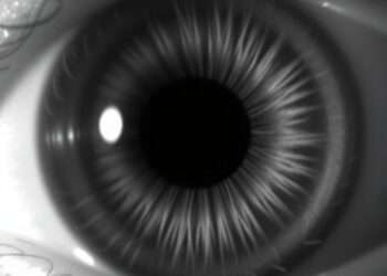 Pupil dilation reveals arousal-mediated perceptual belief updating across auditory domains