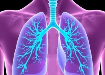 Pusan National University unveils ASTRA-Net to improve lung airway mapping