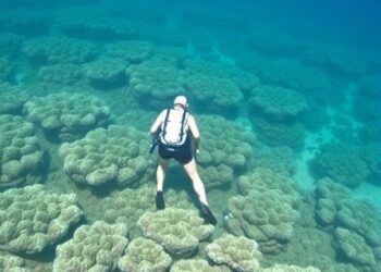 Rangers and scientists chart vulnerable reefs across the Groote Archipelago