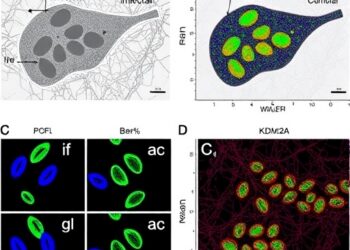 Removing KDM2A Demethylase Restores Antitumor Immunity in Liver Cancer