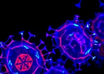Researchers uncover new insights into immune cell activity in sarcoidosis