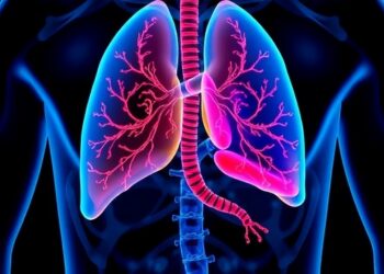 Researchers uncover sex-based differences in liver structure and function