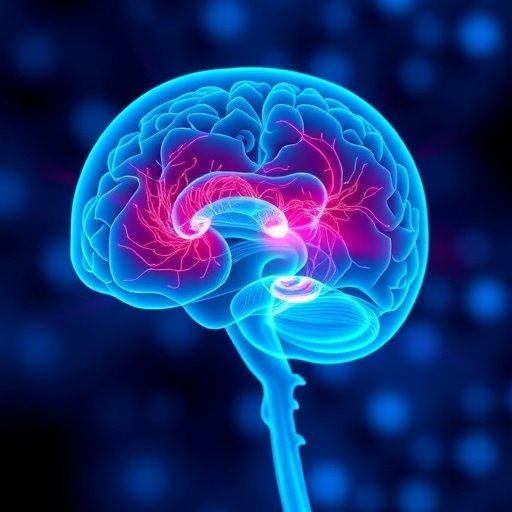 Review sheds new light on Ménière’s disease, guiding more targeted treatments