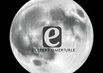 RIS-MoE Secures Robust Image Steganography Through Latent Optimization and Expert Denoising