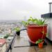 Rooftop rainwater harvesting could cool cities and reduce heatwave days