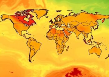 Satellite data reveal slower urban expansion and rising global inequality during COVID-19