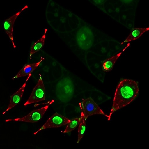 Schisandrin Lignans Stabilize GPX4 to Suppress Ferroptosis in Drug-Induced Liver Injury