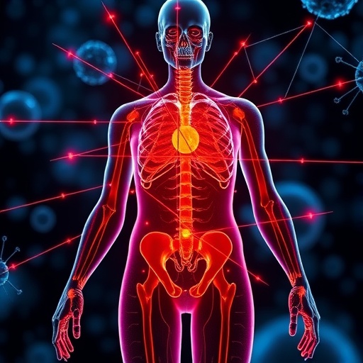 Scientists discover immune navigation system that could improve chronic inflammation treatments