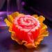 Scientists grow muscle protein for fake meat in lettuce and tobacco chloroplasts
