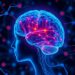 Scientists identify potential brain network specific to language