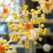Scientists synthesize diiron subcluster to artificially mature [FeFe]-hydrogenases