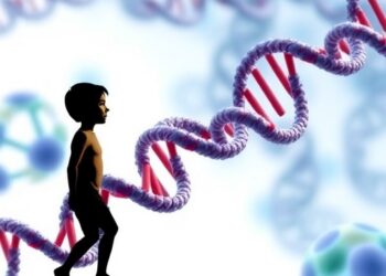 Scientists uncover evolutionary history of gene associated with neurodevelopmental conditions
