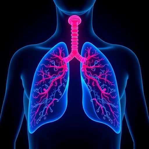 Scientists uncover how natural products may combat chronic obstructive pulmonary disease