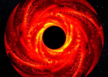 SDSS-V Data Release 20 Maps Supermassive Black Holes Across the Entire Sky