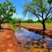 Seasonal water changes drive disease risk in Brazil’s semiarid region