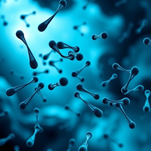 Sex differences in sepsis treatment responses revealed by preclinical meta-analysis