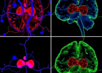 Sex-Specific Cypermethrin Hippocampal Toxicity Disrupts Antioxidant, Membrane, Apoptotic, and GABA Signaling