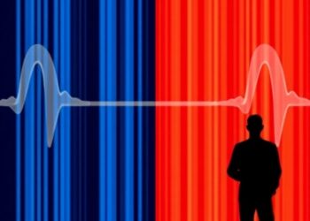 Shapley Explanations Support Stock Decisions in LSTM and MLP Models’ Decade-Long Backtest
