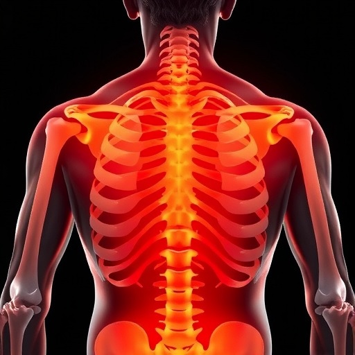 Shoulders Bear the Brunt of Changes in Bone Mineral Density