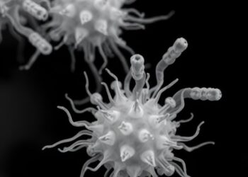Single-step chromatography purifies diverse Pseudomonas aeruginosa phages while sharply reducing endotoxins