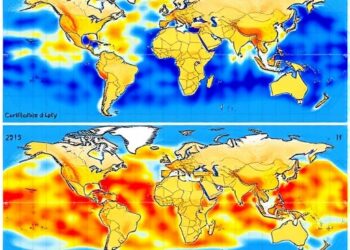Solar-Wind Density Fluctuations Mapped Worldwide via Scintillation Data, 2008–2022