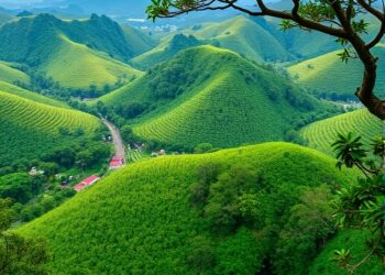 Southeast Asia’s Energy Transition Brings Biodiversity, Ecosystem, and Health Trade-offs