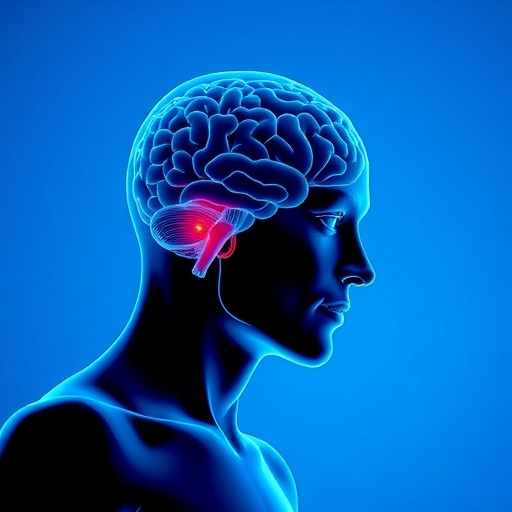 Soy Lysolecithin Counters Salt-Induced Hypertension and Cognitive Impairment