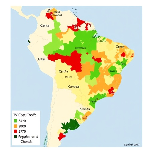 Spatial Models Reveal Regional Gaps and Spillovers in Brazil’s Rural Credit