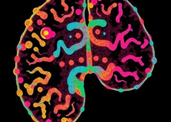 Spatial Transcriptomics Reveals Prostate Cancer’s Molecular Evolution