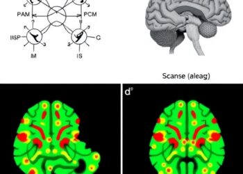 Speech Analysis Identifies Clinical, Anatomical, and Pathological Variants of Primary Progressive Aphasia
