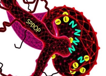 SPOP drives ZMYND8 ubiquitination, phase-separation loss and mTOR resistance in kidney cancer