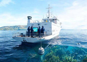 Southwest Atlantic Marine Scientists Map Ocean Challenges and Opportunities