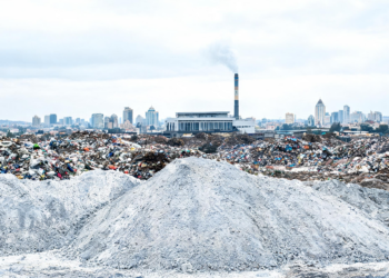 Waste-to-Energy Ash Raises Heavy-Metal Alarm at Addis Ababa Dumpsite