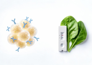 Yeast-Made Antibody Sharpens Rapid Tests for Crop Pesticide Residues