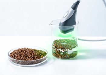 AI Finds Greener Way to Extract Cassia Seed Compounds with Ultrasound