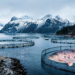 Norwegian Fish Farms Harbor Parasites That Reveal Coastal Ecosystem Stress
