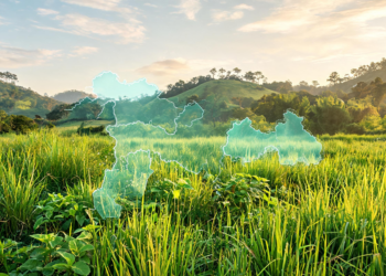 Mapping Assam’s Wild Edible Herb Reveals Hidden Grassland Conservation Hotspots