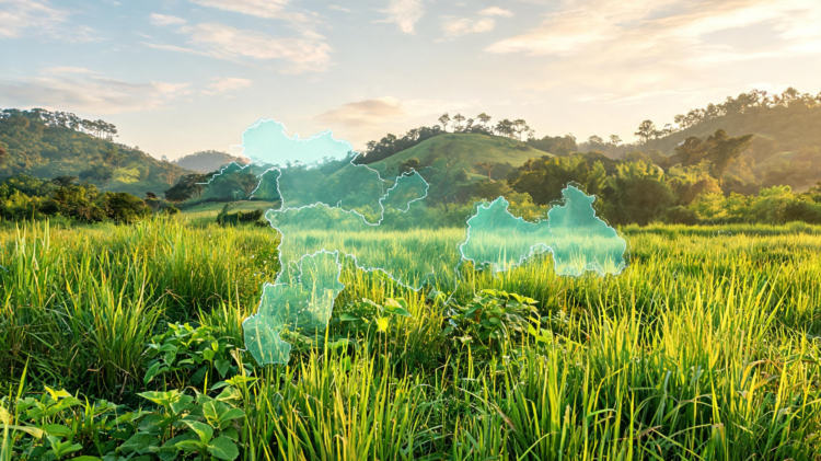 Mapping Assam’s Wild Edible Herb Reveals Hidden Grassland Conservation Hotspots