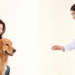 Pet Owners’ Cancer Knowledge Test Exposes Gaps in Veterinary Communication