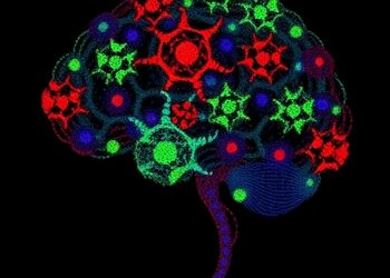 Stimulation Modulates Gene-Linked Cell Assemblies in the Human Brain