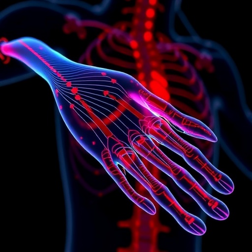 Stretchable In Vivo Biosignal Amplifiers Use Strain-Insensitive Materials and Circuitry