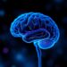 Study Compares BBB-Crossing AAV Capsids for Efficient Central Nervous System Delivery