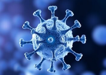 Study examines HPV antibody durability and immune response after stem cell transplantation