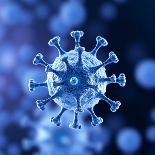 Study examines HPV antibody durability and immune response after stem cell transplantation