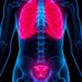 Study Finds Family History Raises Cancer Risk Even After BRCA Testing