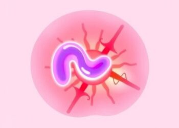 Study identifies genetic factors and pathways shaping putamen volume in adolescents