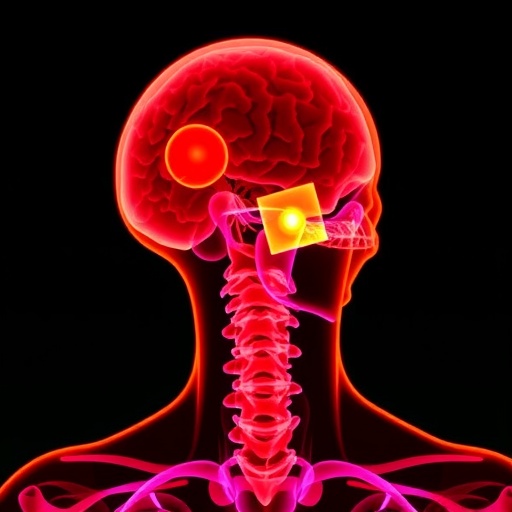 Study identifies steps speeding lifesaving treatment for head and neck cancer patients