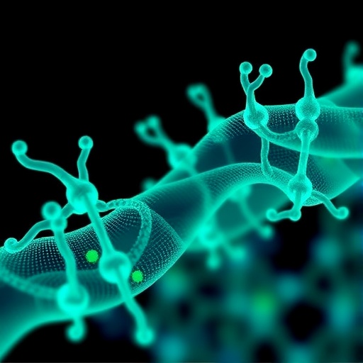Study linking HE4 and Annexin II to ovarian cancer spread retracted