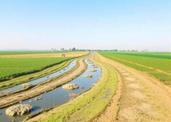 Study links groundwater quality and soil salinity to irrigation suitability in Iran