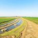 Study links groundwater quality and soil salinity to irrigation suitability in Iran